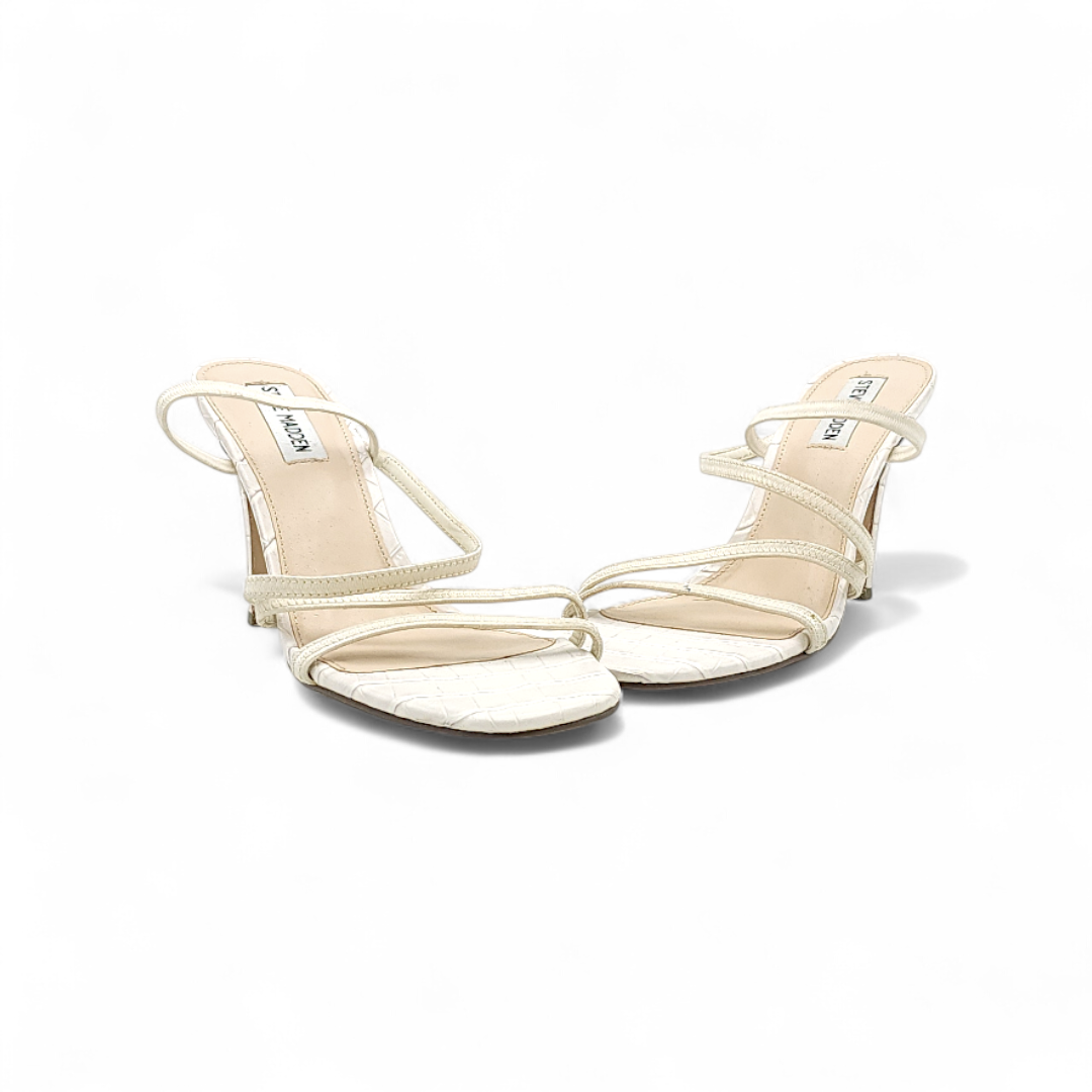 STEVE MADDEN